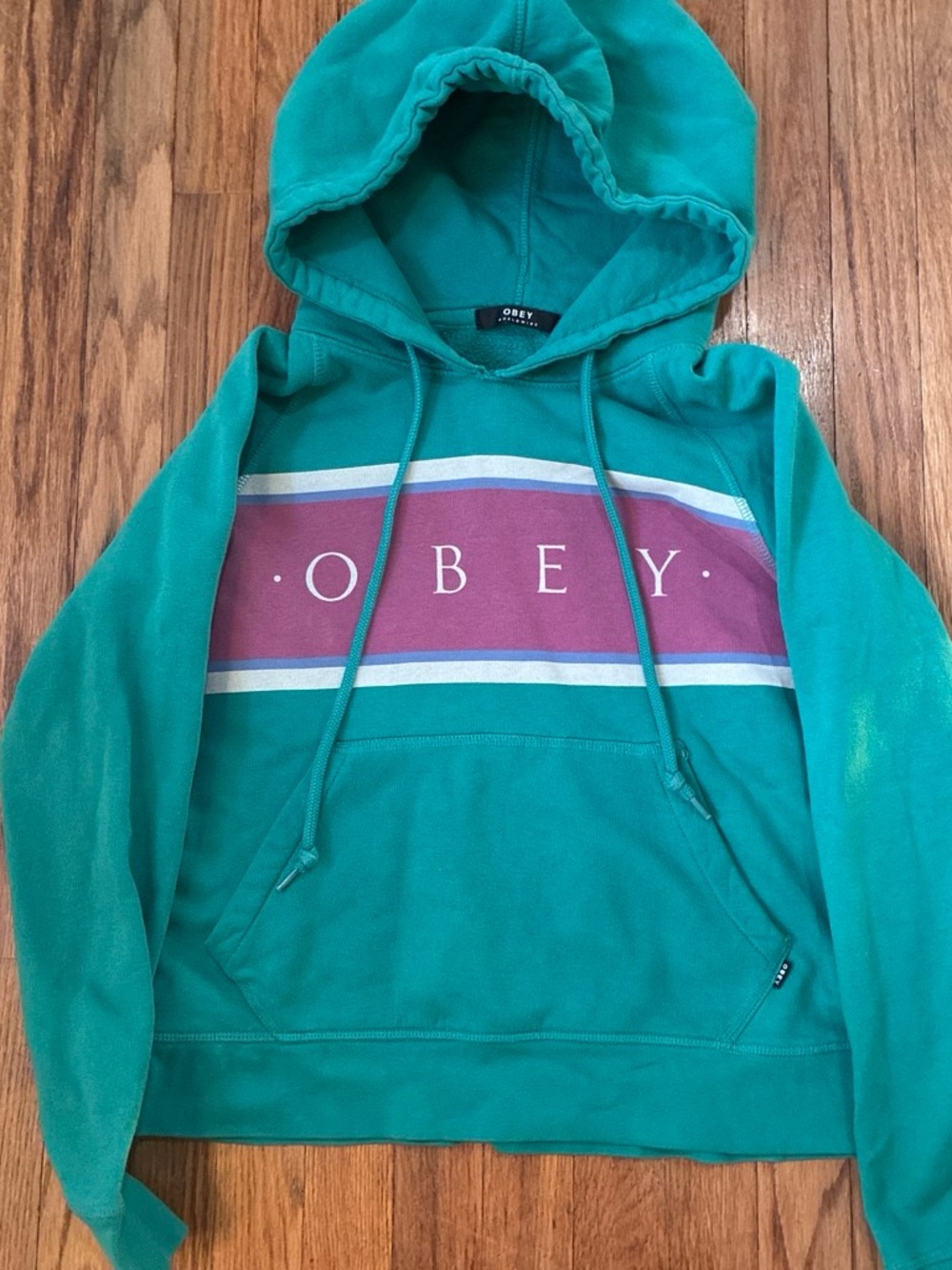 Obey Teal Hoodie with Maroon Chest Stripe